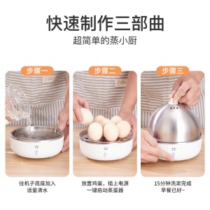 Cuiseur d'oeufs multifonction en acier inoxydable