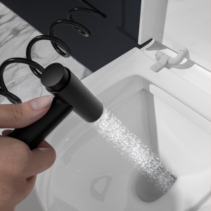Ensemble de pistolets de toilette en acier inoxydable Une entrée, deux sorties Antirouille