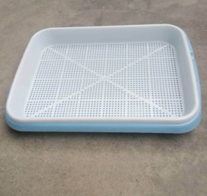 Pots de germination d'eau sans sol pour usage domestique