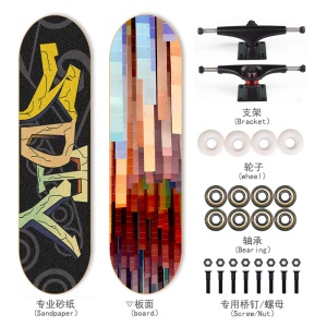 Skateboard  planche à roulettes à quatres roues