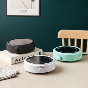 Petite cuisinière à induction 110V220