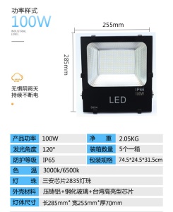Projecteur d'extérieur à LED