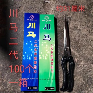 Ciseaux polyvalents pour animaux de companie