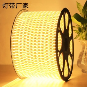 bande lumineuse à led 5730 haute tension 220V imperméable à l'eau