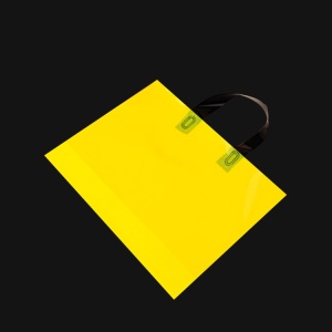Sac de vêtement portable en plastique