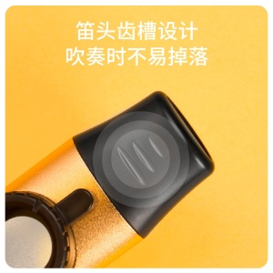 Kazoo Flûte Portable Facile à apprendre