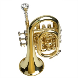 PT-8520L  Trompette en si bémol