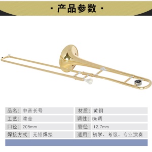 T-2 Trombone médian en si bémol