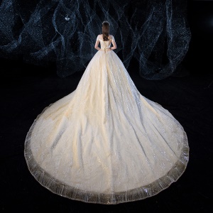 Robe de mariée légère élégante à manches courtes