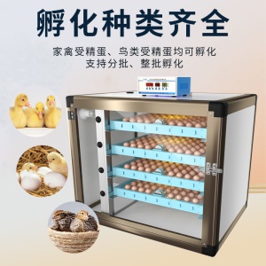 Xwd-160 Incubateur couveuses intelligentes pour poulets, canards, oies et oeufs