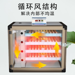Xwd-160 Incubateur couveuses intelligentes pour poulets, canards, oies et oeufs