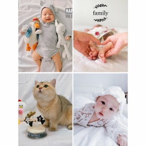 Toile de fond pour photo en coton lavable