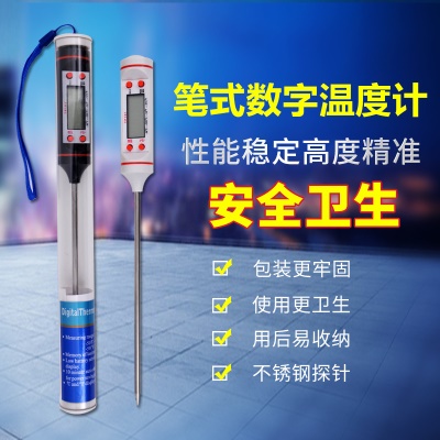 ANRUIDE Thermomètre à sonde d'affichage numérique