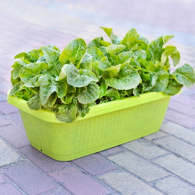 YIZHIYUAN  Panier à légumes rectangulaire en plastique