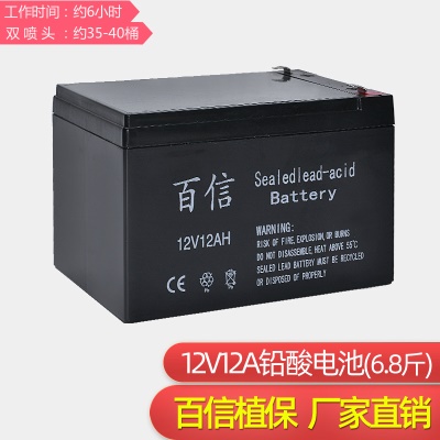 BAIXIN  Pulvérisateur électrique avec batterie plomb-acide intégrée 12V 12A