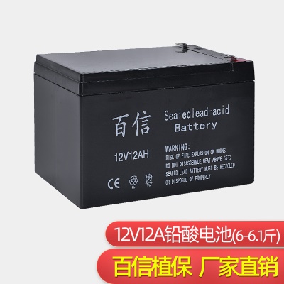 BAIXIN  Pulvérisateur électrique avec batterie plomb-acide intégrée 12V 12A