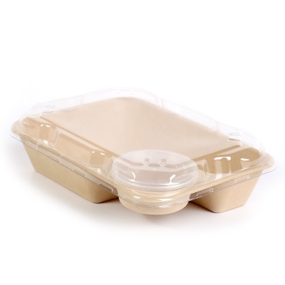 Boîtes à lunch jetables Biodégradables et imperméables à la pâte à papier