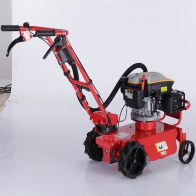 Tondeuse à gazon  avec moteur à essence 9 HP