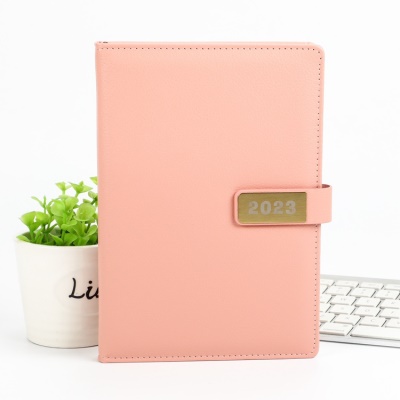 Agenda Notebook calendrier 2023 156 pages Anglais Espagnol
