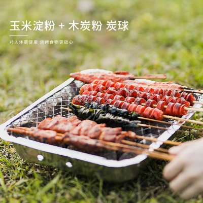Grille de barbecue jetable avec four à charbon extérieur