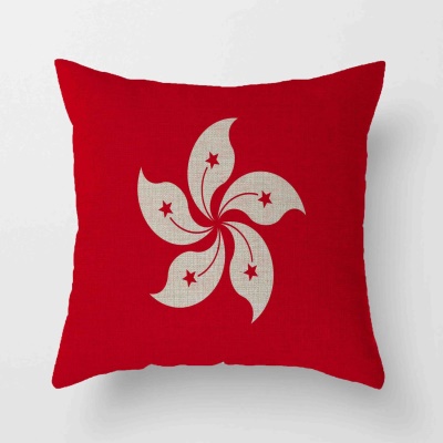 Housse de coussin  drapeau avec imprimé chiffré en lin