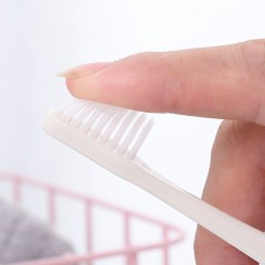 Brosse à dents Boite de 10 pieces