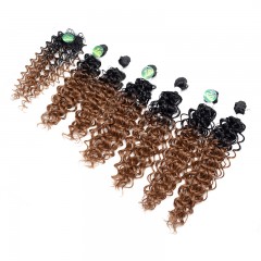 Paquet de mèches en fibre chimique pour cheveux bouclés gradient