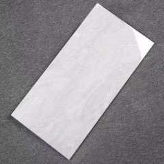 Carreaux 300 * 600mm