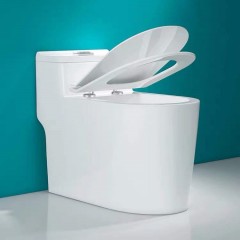 WC silencieuses à économie d'eau à siphon ultra-tourbillonnant