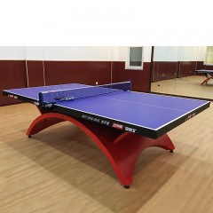 Table de tennis de table DHS à hauteur réglable et support d'arceau de compétition