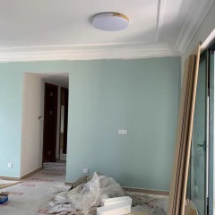 Peinture à eau au latex résistant à la moisissure pour murs intérieurs
