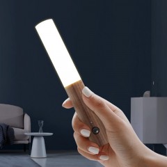 Lumière à induction LED Smart rechargeable et fixable
