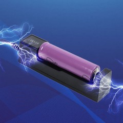JULAIJUXING Chargeur de pile au lithium caisson de charge télescopique