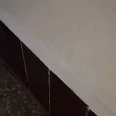 Mastic de mur intérieur résistant à l'humidité