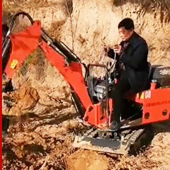 Petite excavatrice