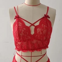 Lingerie  deux-pièces ensemble dentelle tissu polyester