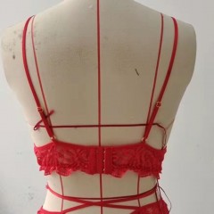 Lingerie  deux-pièces ensemble dentelle tissu polyester