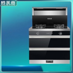 Cuisinière à gaz intégré intelligente Grande capacité