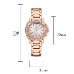 Montre pour femmes avec diamant en acier inoxydable Butterfly boucle étanche