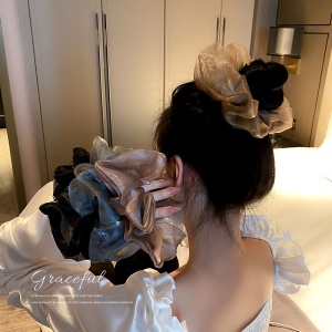 Attache cheveux avec brillants
