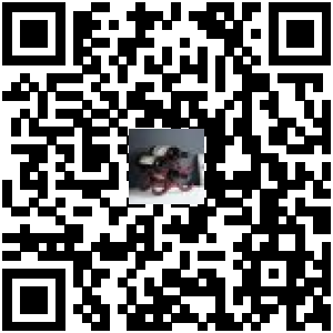 Code QR du produit