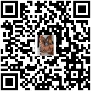 Code QR du produit