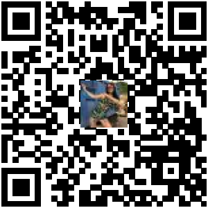 Code QR du produit