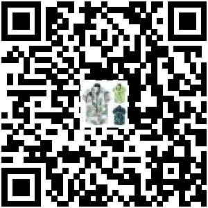 Code QR du produit