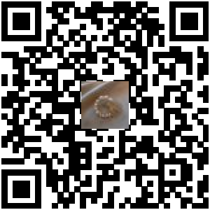 Code QR du produit