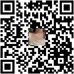 Code QR du produit