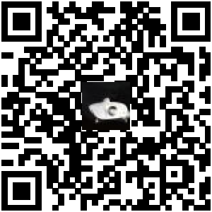 Code QR du produit