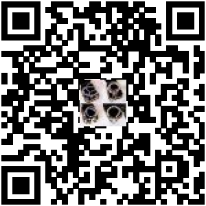 Code QR du produit