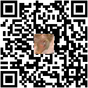 Code QR du produit