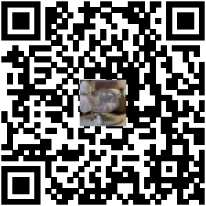 Code QR du produit